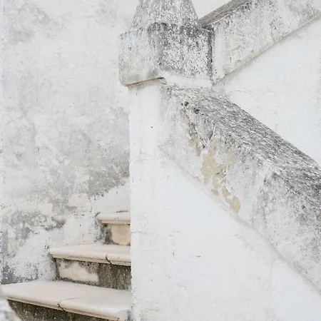 Masseria Torremossa Farma *
