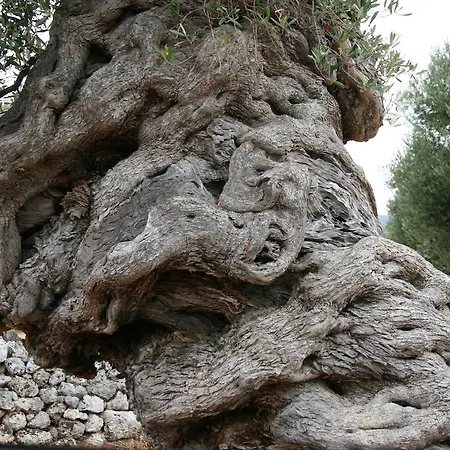 Masseria Torremossa Fasano